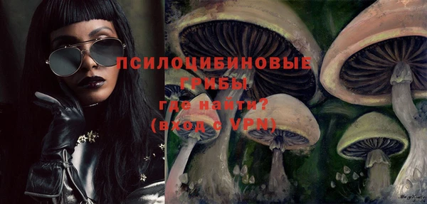 ПСИЛОЦИБИНОВЫЕ ГРИБЫ Алексин