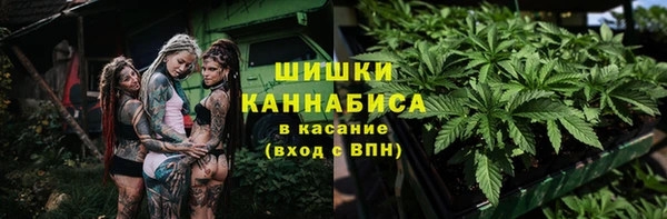 ПСИЛОЦИБИНОВЫЕ ГРИБЫ Алексин
